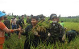 Nhiều sân chơi ngày hè cho trẻ